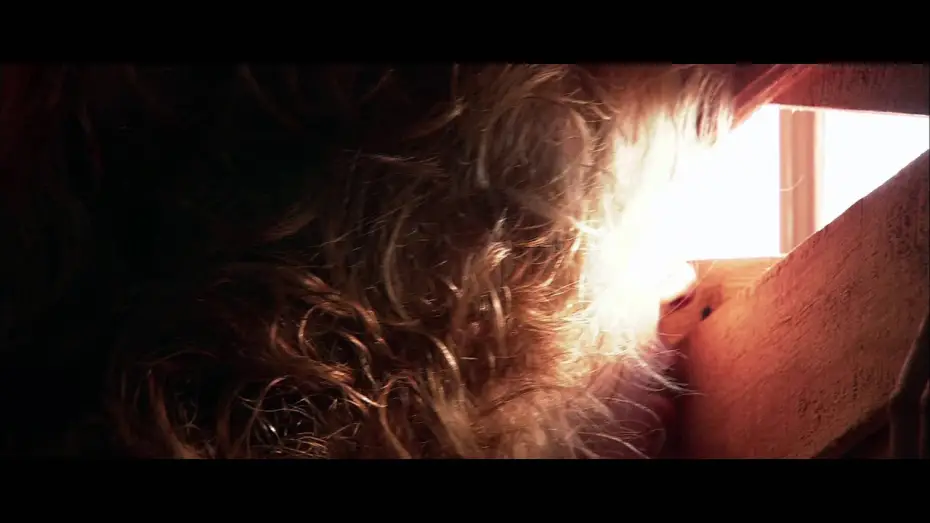 Wideo do filmu Krwawa uczta II — Feast II: Sloppy Seconds - Trailer