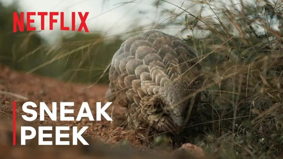 Wideo do filmu Mój przyjaciel łuskowiec — Sneak Peek