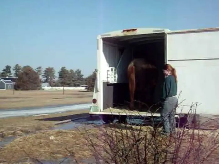 Wideo do filmu Flicka — Flicka trailer video