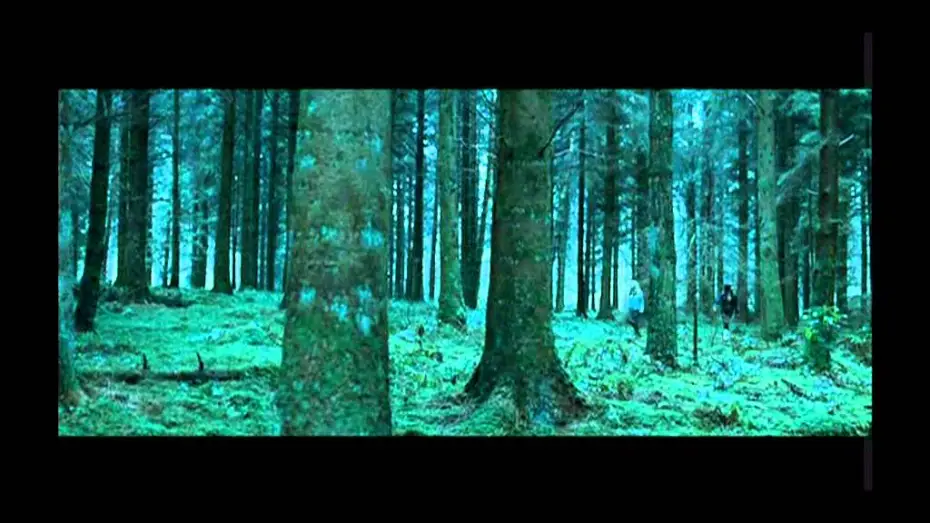 Wideo do filmu Lęk — Shrooms - trip senza ritorno trailer ita