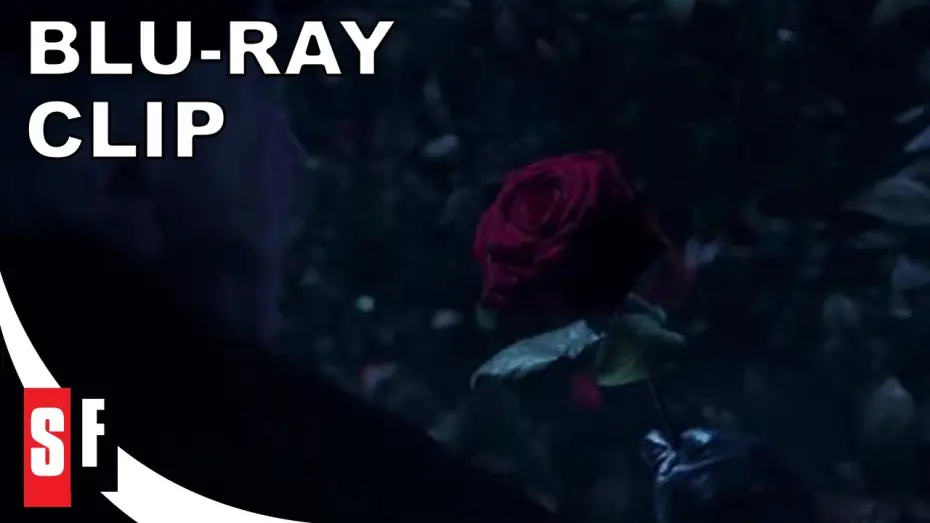 Wideo do filmu Piękna i bestia — The Rose [Subtitled]