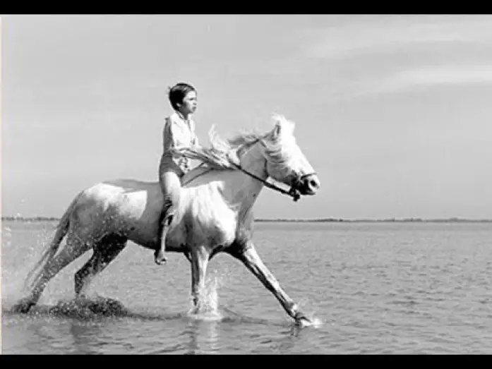 Wideo do filmu Crin Blanc : Le Cheval sauvage — ¨Crin-Blanc¨ - Albert Lamorisse