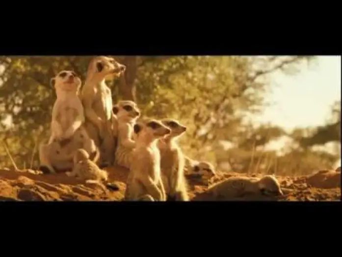 Wideo do filmu The Meerkats — LA FAMILLE SURICATE - Bande Annonce VF