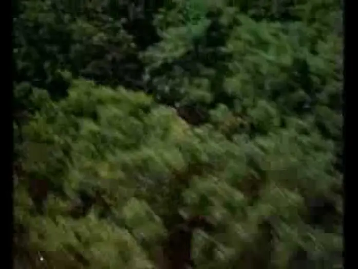 Wideo do filmu Kropla słońca — Sunshine (1999) Trailer - Ralph Fiennes