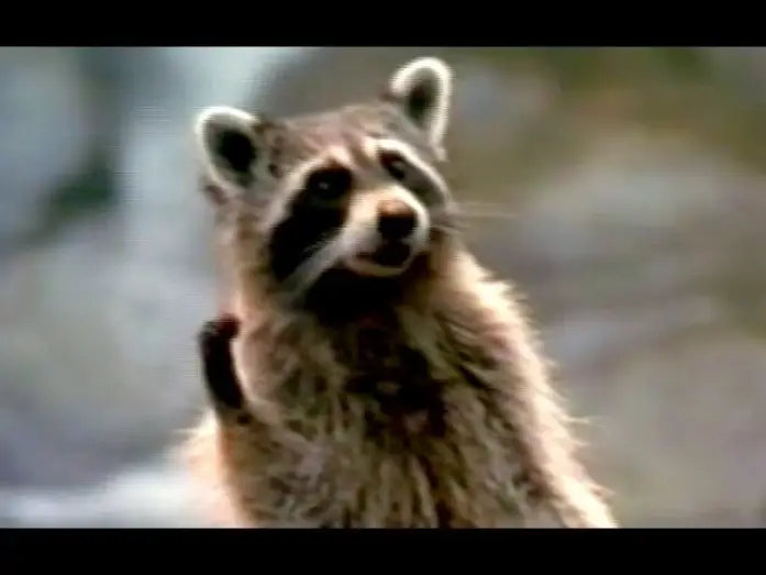 Wideo do filmu Doktor Dolittle 2 — Dr. Dolittle 2 - Trailer (2001)