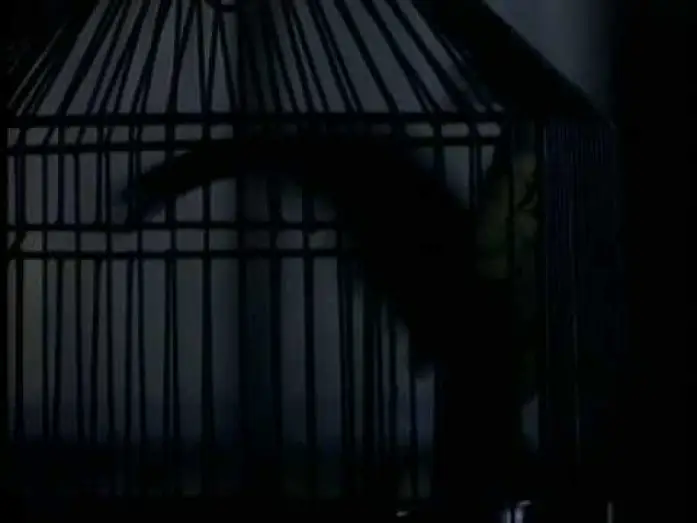 Wideo do filmu Boxing Helena — Boxing Helena
