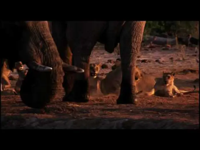 Wideo do filmu Ziemia — Earth Trailer by Disney Nature (HD)