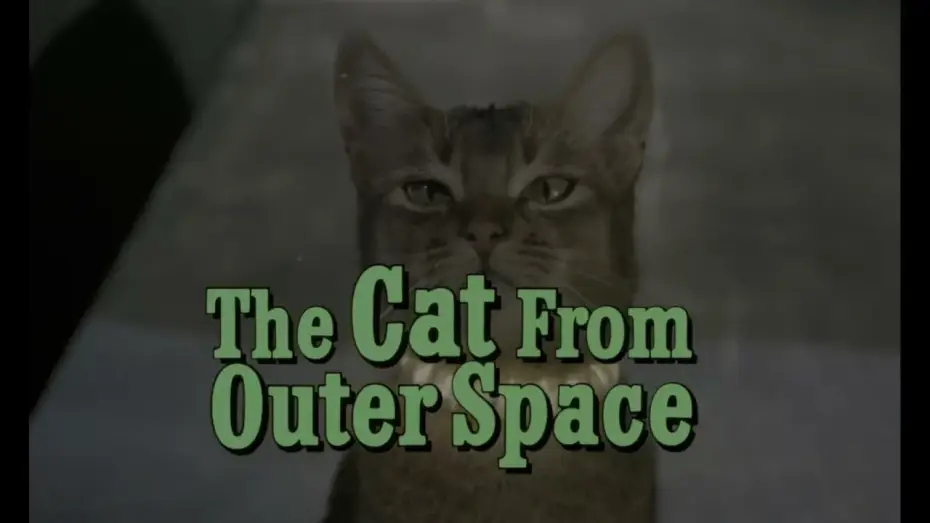 Wideo do filmu Kot z kosmosu — le chat qui vient de l'espace extrait 2