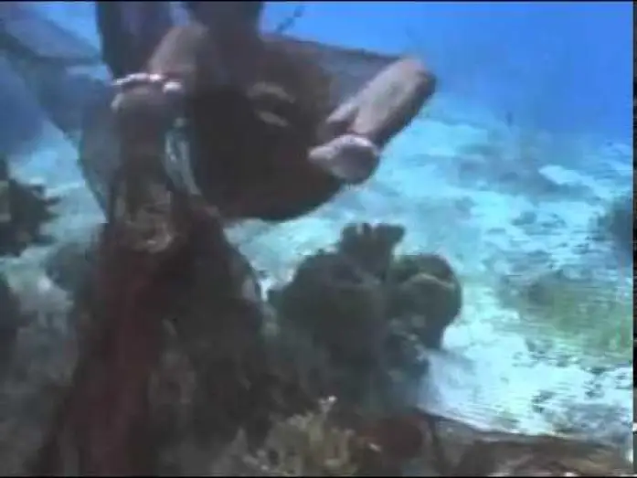 Wideo do filmu Muro-ami — Muro Ami
