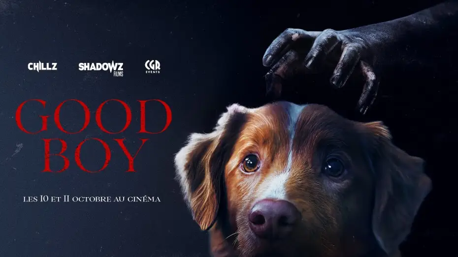 Wideo do filmu Good boy — GOOD BOY - trailer VOSTFR