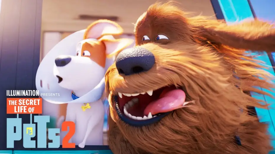 Wideo do filmu Sekretne życie zwierzaków domowych 2 — Max and Duke Go on a Road Trip!