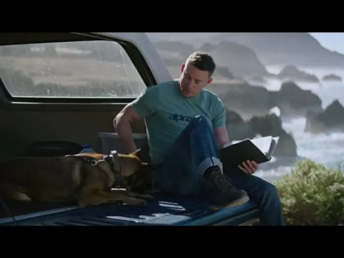 Wideo do filmu Pies — Dog. Un viaje salvaje - Trailer español