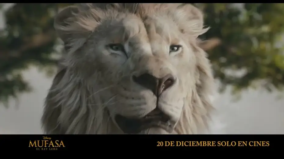Wideo do filmu Mufasa: Król Lew — Anuncio: 'Mufasa y Scar'
