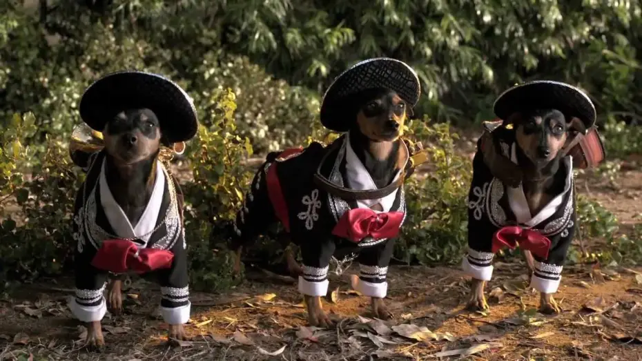 Wideo do filmu Cziłała z Beverly Hills 3 — Beverly Hills Chihuahua 3 Trailer #1