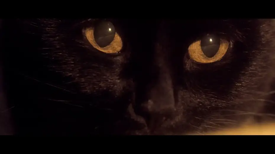 Wideo do filmu Somos animales — Somos animales