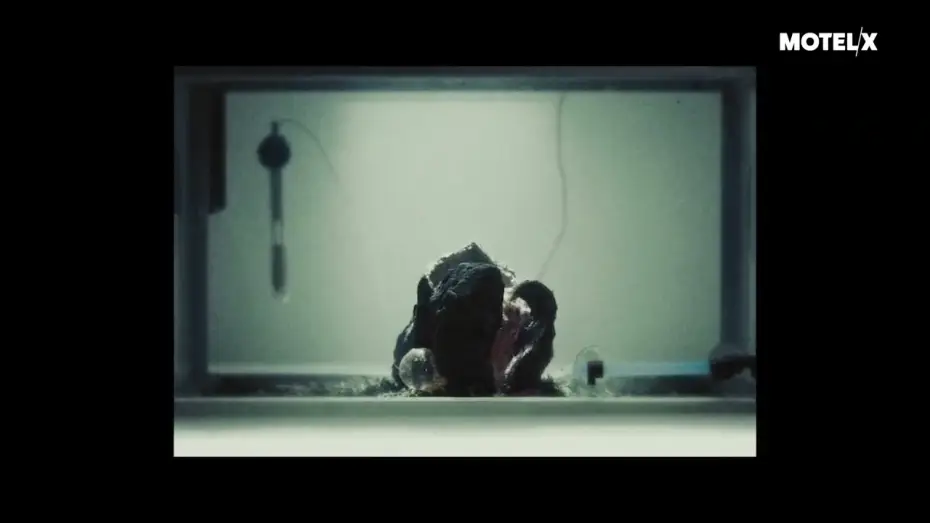 Wideo do filmu From.Beyond — From.Beyond (2022) |  Trailer