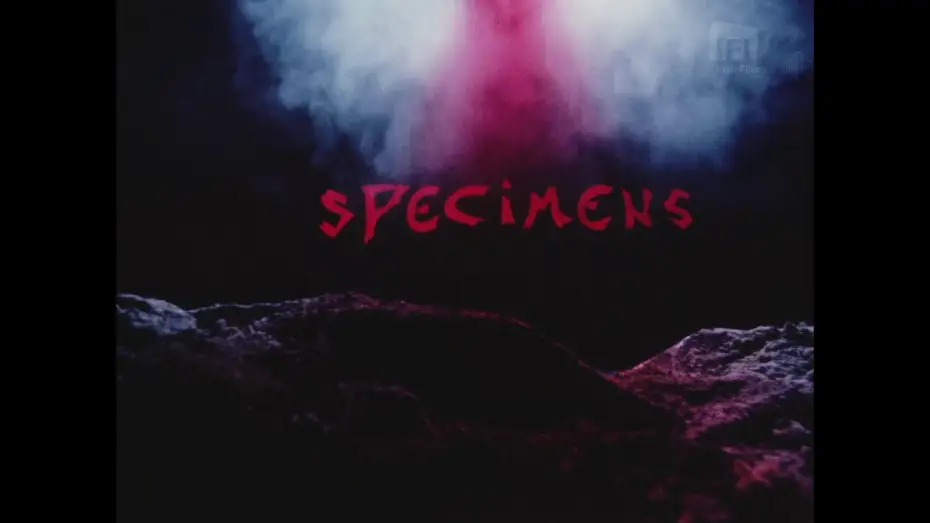 Wideo do filmu Specimens — Roy Spence: Specimens