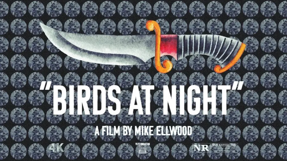 Wideo do filmu Birds at Night — TRAILER | Birds at Night | a film by Mike Ellwood