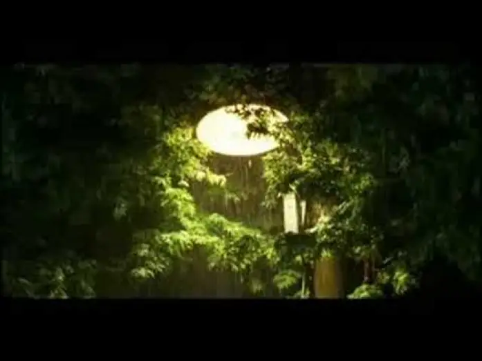 Wideo do filmu 너는 내 운명 — You Are My Sunshine trailer