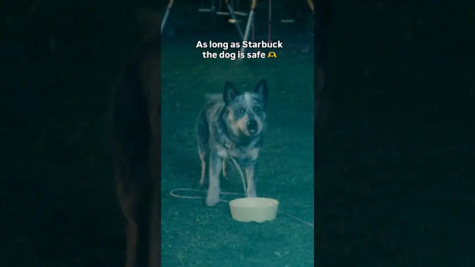 Wideo do filmu Koniec ulicy Dębowej — Always rooting for the dog...