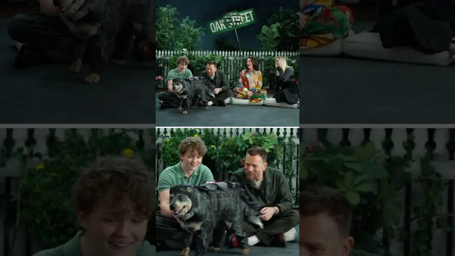 Wideo do filmu Koniec ulicy Dębowej — Dinosaurs come in all shapes and sizes.