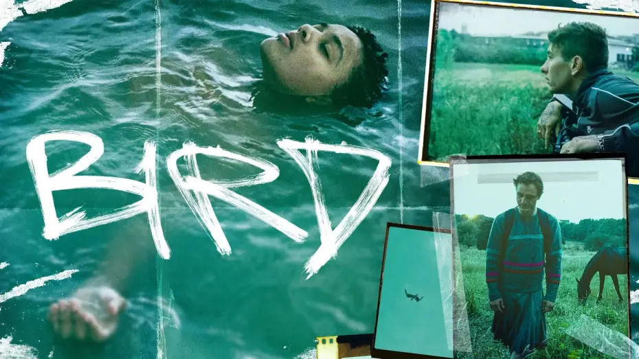 Wideo do filmu Bird — BIRD l Deutscher Trailer