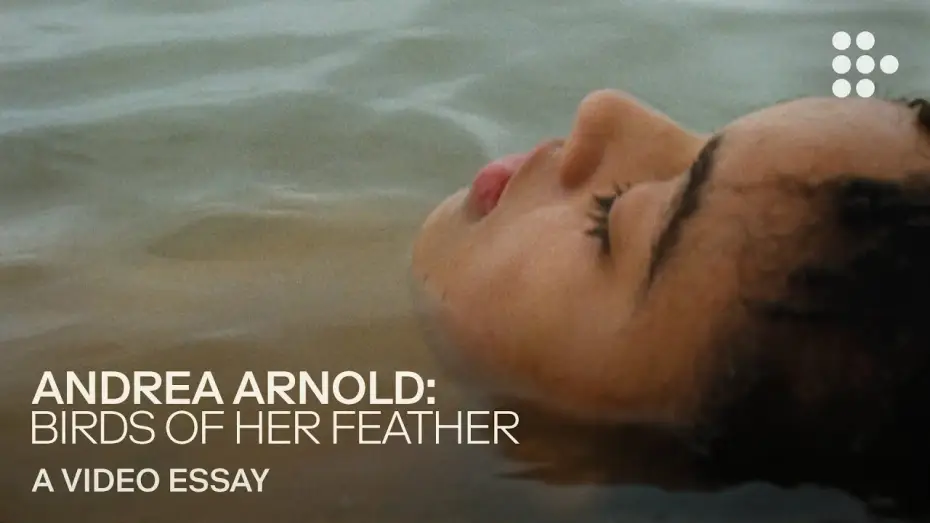 Wideo do filmu Bird — Video essay: “Andrea Arnold: Birds of Her Feather”