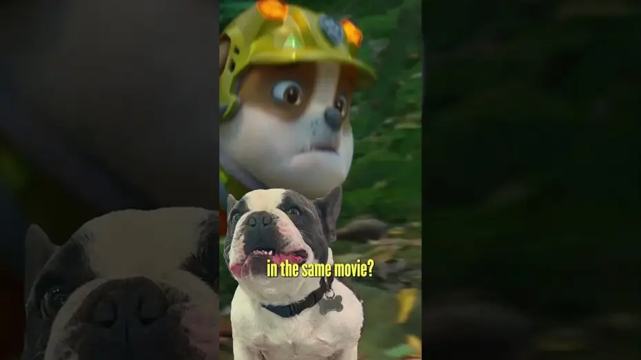 Wideo do filmu Psi Patrol i Dinozaury — Puppy Trailer Reaction