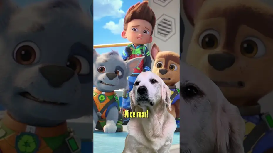 Wideo do filmu Psi Patrol i dinozaury — Real Dog Reaction