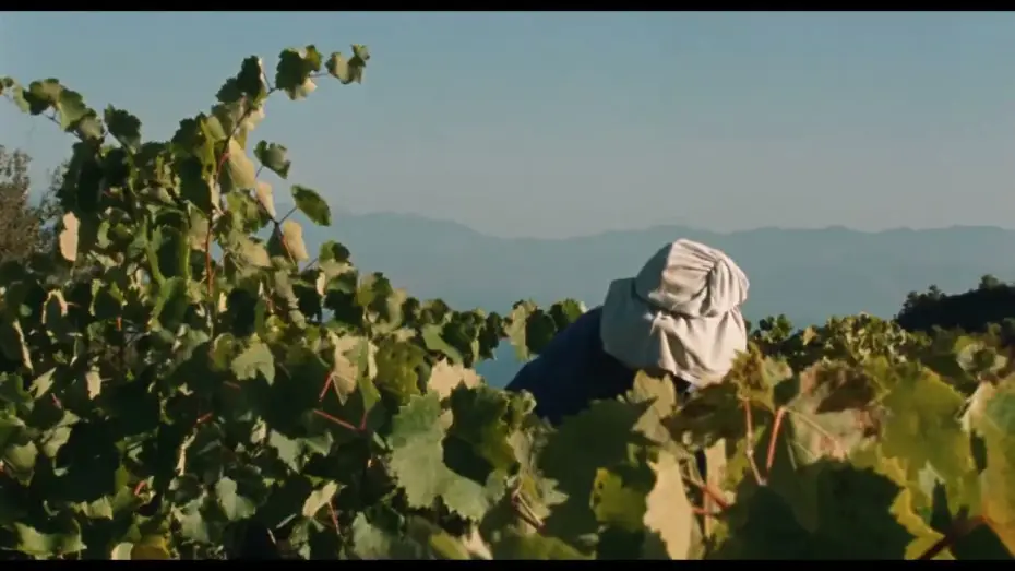 Wideo do filmu Fasolákia — 21º Doclisboa | Verdes Anos | Fasolákia | Maximilian Karakatsanis