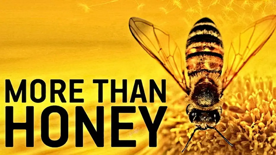 Wideo do filmu Więcej niż miód — MORE THAN HONEY Trailer German Deutsch HD 2012