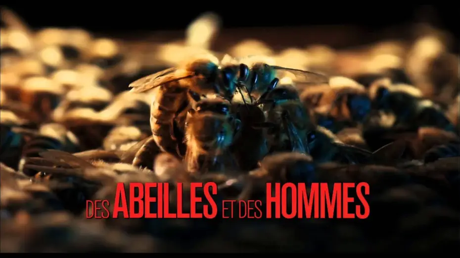 Wideo do filmu Więcej niż miód — Des Abeilles et des Hommes (bande-annonce)