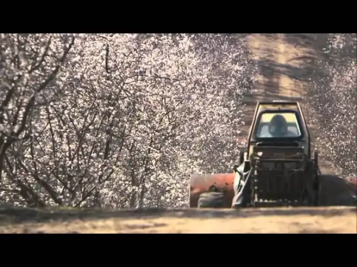 Wideo do filmu Więcej niż miód — More Than Honey - Official Trailer