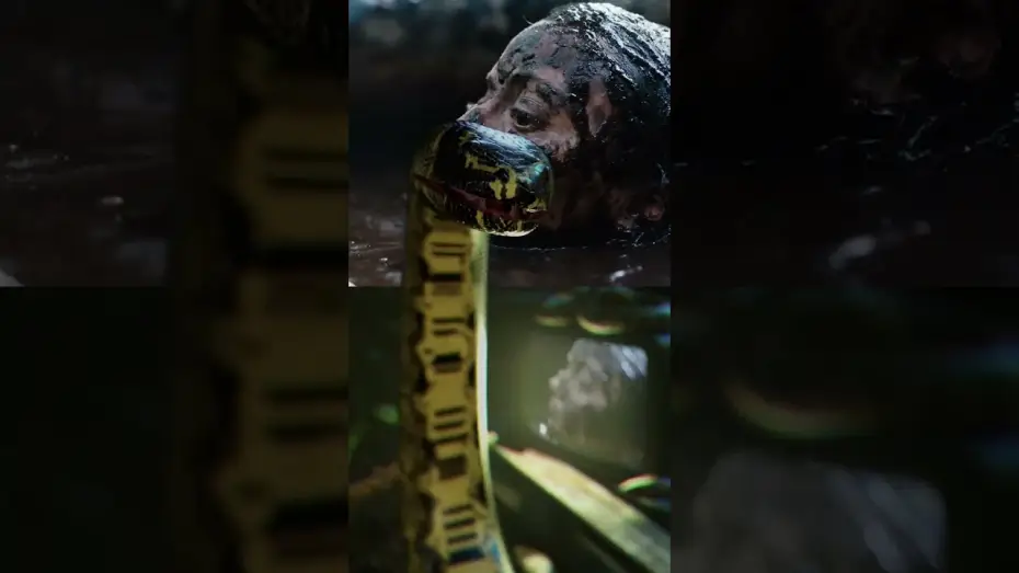 Wideo do filmu Beware Boiúna — The reactions are in…