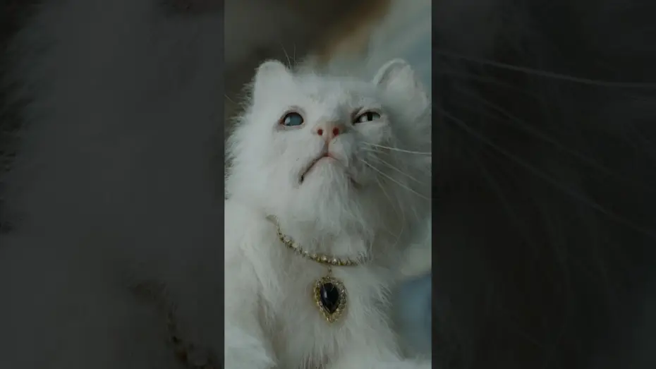 Wideo do filmu DIGGER — Sweet, sweet, Maggie.