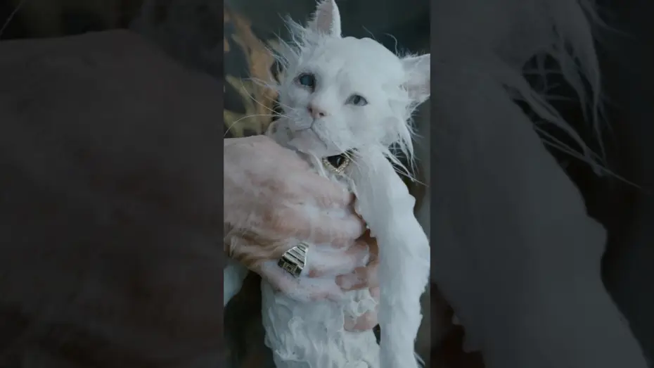 Wideo do filmu Digger — Ain’t Maggie sweet?