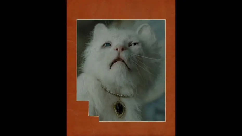 Wideo do filmu Digger — His darlin’ girl, Maggie.