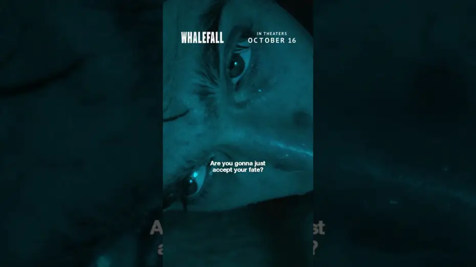 Wideo do filmu Upadek wieloryba — when no one can find you, no one can hear you, what do you do to survive?