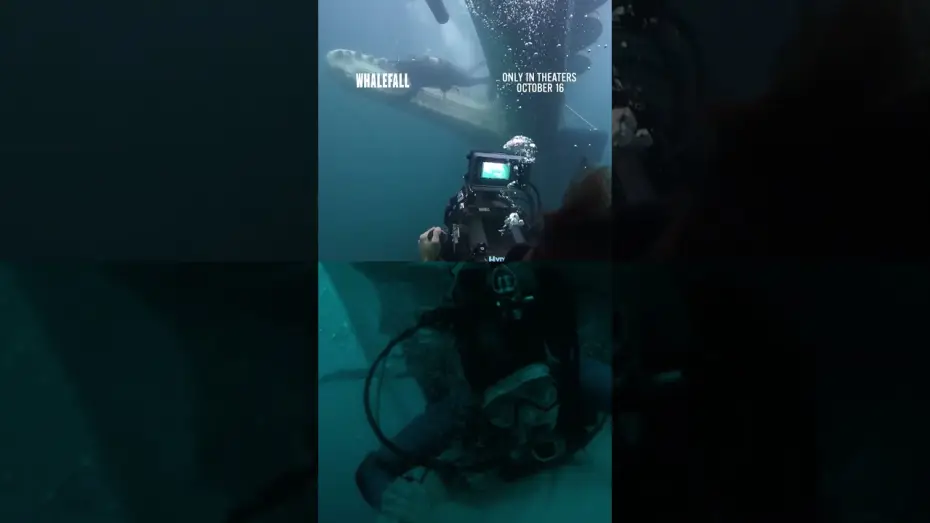 Wideo do filmu Upadek wieloryba — how does Austin keep getting himself into these situations