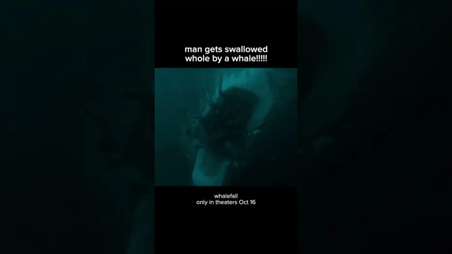 Wideo do filmu Upadek wieloryba — thats gonna leave a bruise