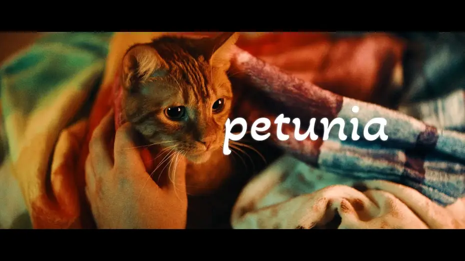 Wideo do filmu Petunia — Petunia Trailer