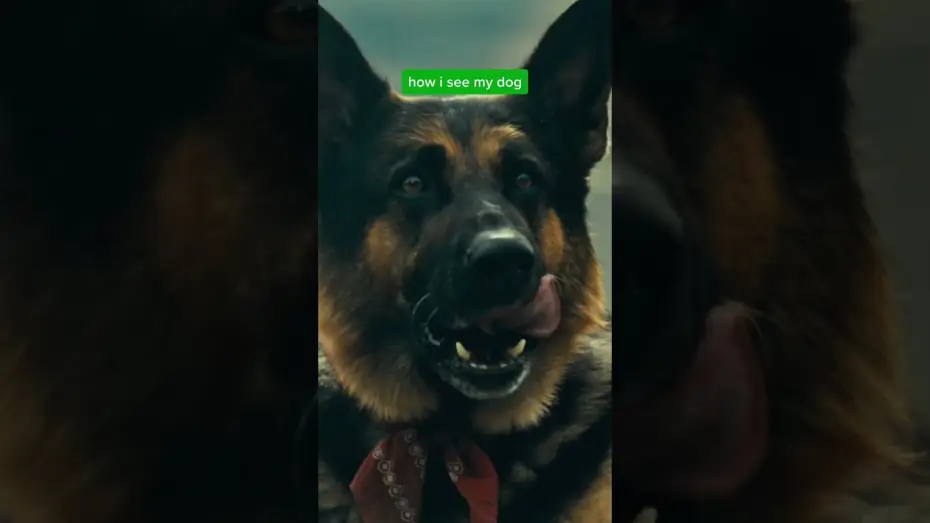 Wideo do filmu W sercu dziczy — You’ll fall in love with Odin, too.