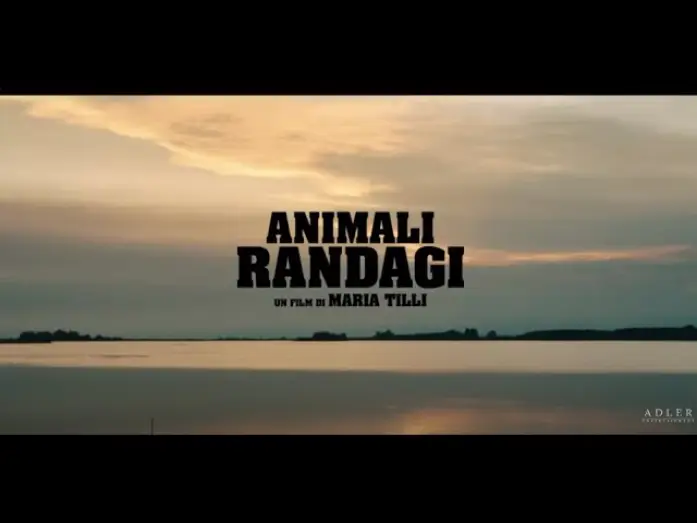 Wideo do filmu Animali randagi — Animali Randagi di Maria Tilli | Trailer Ufficiale | Dal 27 Giugno al cinema
