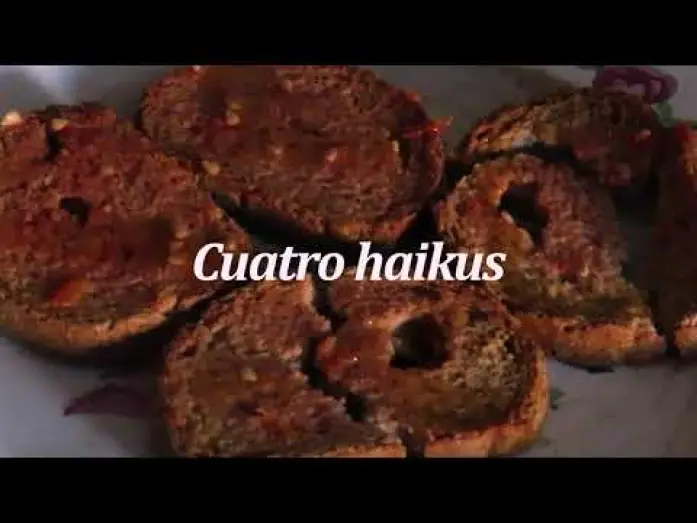 Wideo do filmu Cuatro Haikus — Cuatro Haikus (Guillermo Amengual, 2023)