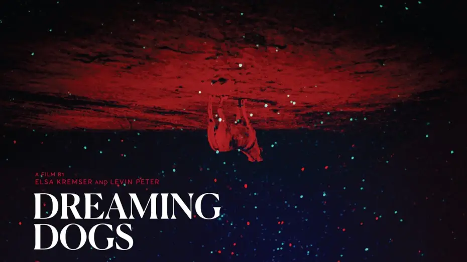 Wideo do filmu Dreaming Dogs — Trailer DREAMING DOGS (Elsa Kremser & Levin Peter) OmdU