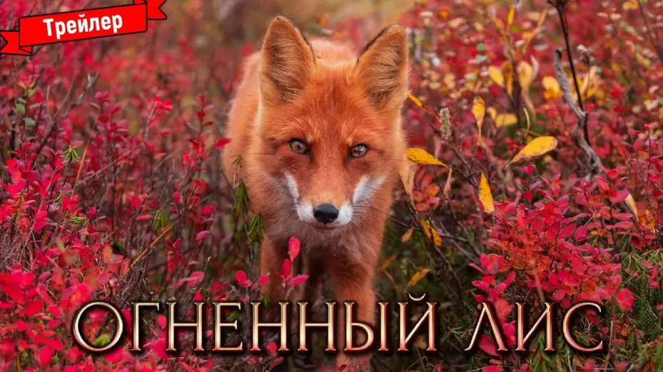 Wideo do filmu Огненный лис — Огненный лис — трейлер