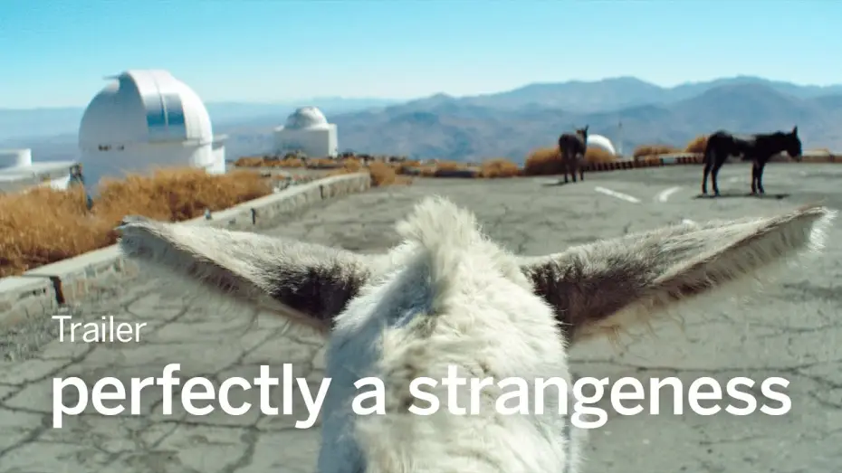 Wideo do filmu Une parfaite étrangeté — PERFECTLY A STRANGENESS Trailer | TIFF 2024