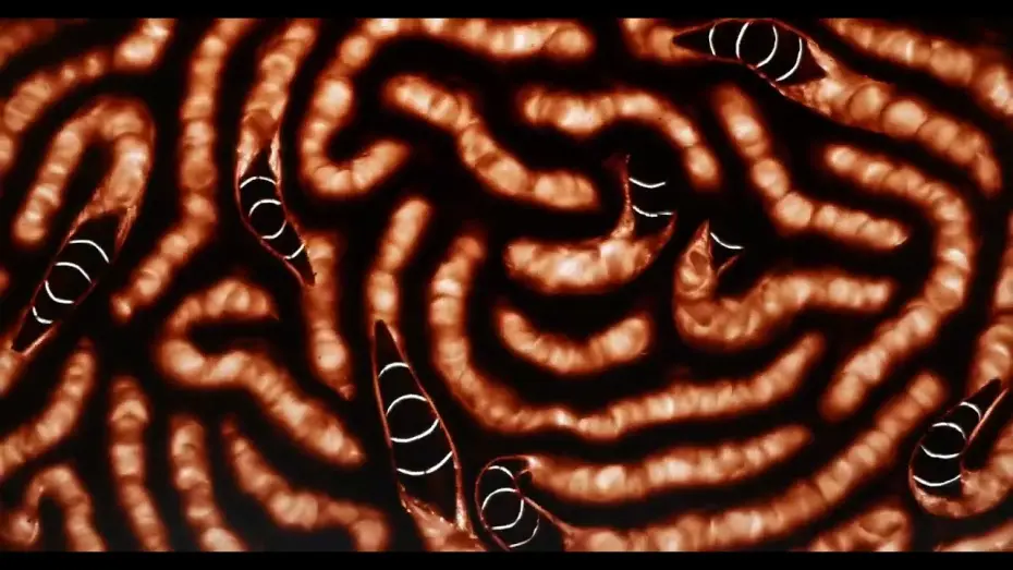 Wideo do filmu Dans mes rêves, je t’avale cru — Dans mes rêves, je t'avale cru - Brèves D'Images 2025