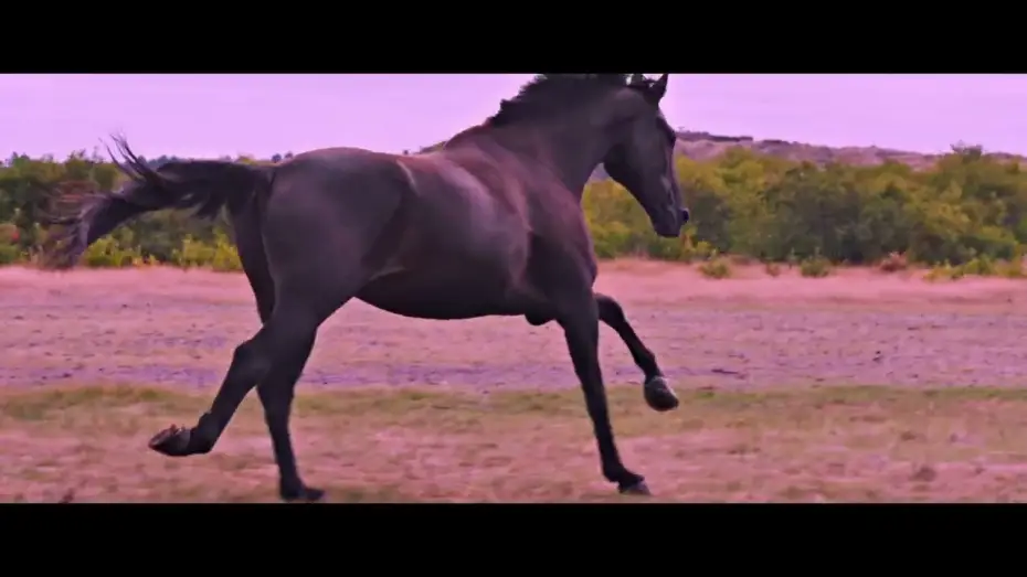 Wideo do filmu No Horses on Mars — Trailer