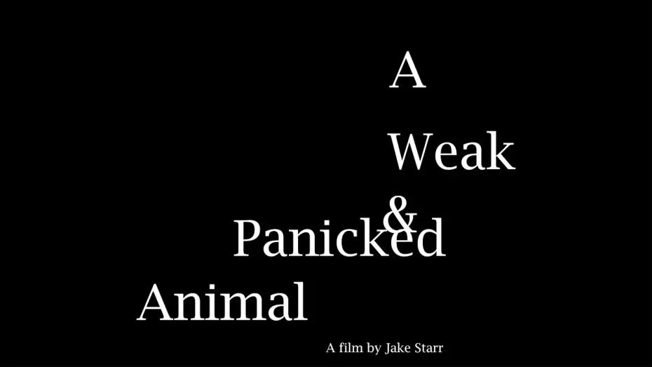 Wideo do filmu A Weak & Panicked Animal — A Weak & Panicked Animal (2024) Trailer
